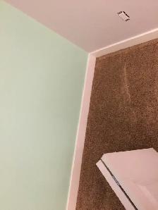 Moulding/trims INSTALL and supply if needed BRAND NEW primed TRI - Photo 9