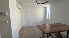 Cession de bail, Appartement à louer, Montréal, Village Gai - Photo 4