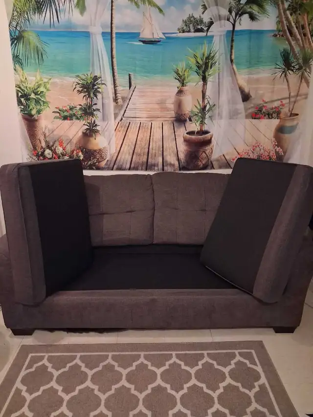 Couch/ love seat