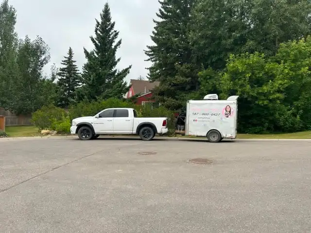 Mobile Dog Grooming accepting new clients