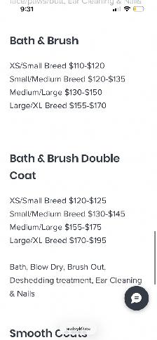 Mobile Dog Grooming accepting new clients - Photo 4