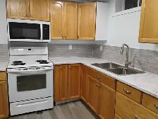 Basement Apartment - Photo 2