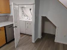 Basement Apartment - Photo 3