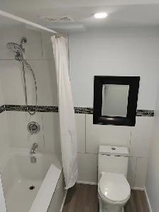 Basement Apartment - Photo 8