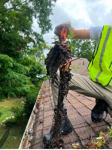 $180 Gutter cleaning and fall cleanup special ! - Photo 3