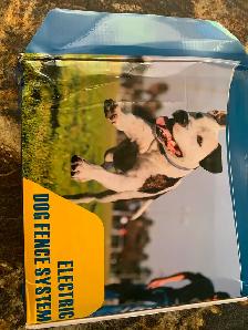 Electric dog fence