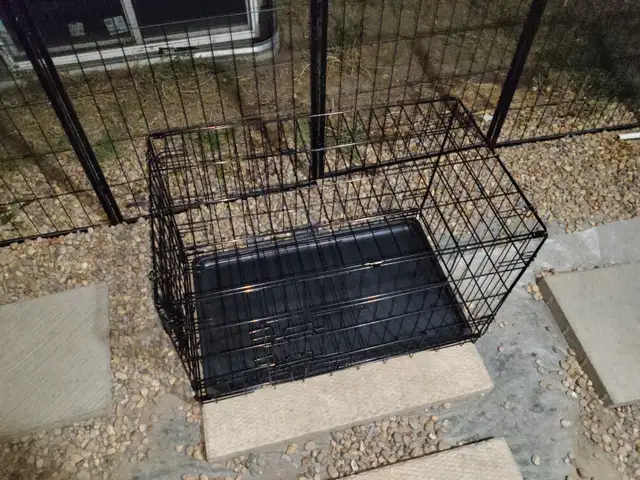 2 door dog kennel