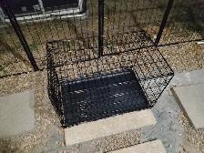 2 door dog kennel
