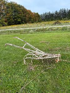 Late 1800's horse plough