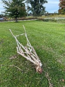 Late 1800's horse plough - Photo 2