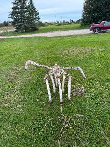 Late 1800's horse plough - Photo 3