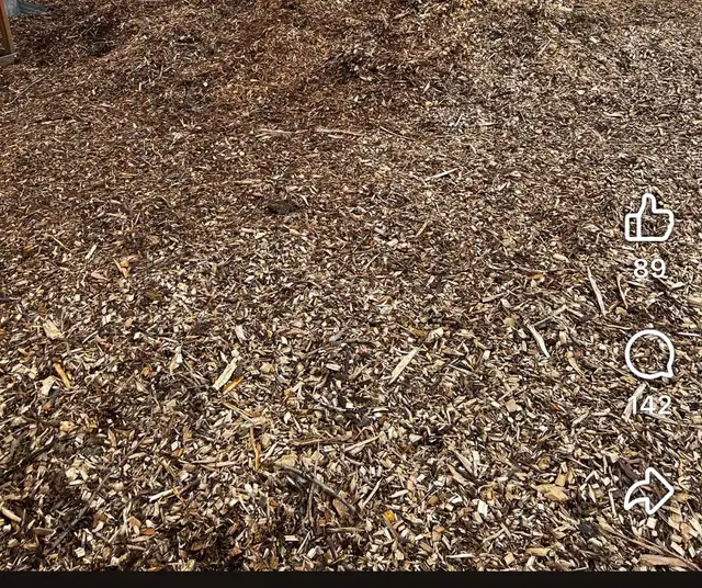mulch for garden