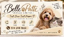 Toilettage à domicile, chat et chien