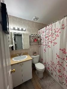 SOUS-LOCATION URGENTE BEAU 4 1/2 LUMINEUX - Photo 7