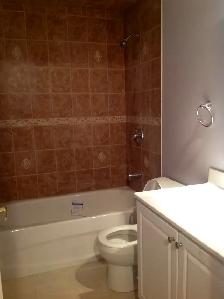 Steeles & Staines Spacious 1Bdrm Basement apt with parking - Photo 3