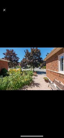 Stunning Furnished Detached Home for Lease in Brampton - Photo 2