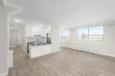 2 Bedroom Apartment for Rent - 115 Dowling Avenue - Photo 12
