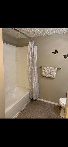 2 Bedrm   Den Condo for Rent - Photo 8