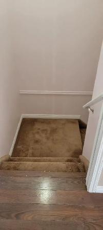 Basement for rent - Photo 4