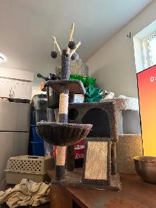 médium size cat tree