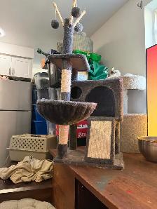 médium size cat tree - Photo 2