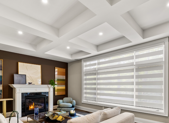 EHOME INTERIOR-Zebra Blinds