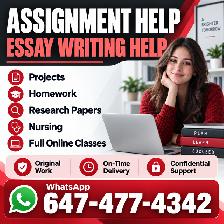 Assignments, Essays, Reports, Research Papers, Homework, Courses