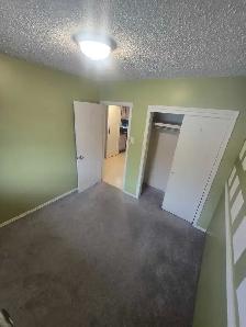 Room for rent - Photo 3