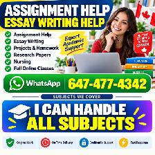 Essay Writing, Assignment, Nursing, Business, Psychology, ILC