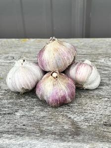 Keddy's Garlic - Photo 2
