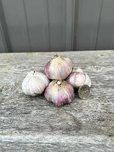 Keddy's Garlic - Photo 4