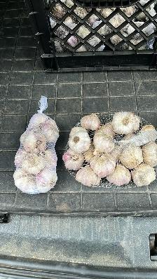Keddy's Garlic - Photo 5