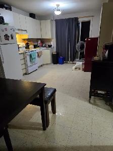 TRES TRES GRAND 4 1/2 à louer à Vimont - Photo 2