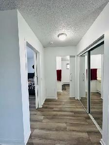 2 Bedroom Apartment Available for Rent Oct 1 - Photo 9