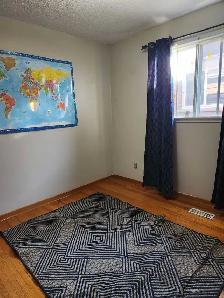 Female Roomate