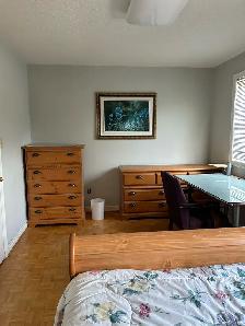 Room  rent on November 1. Eglinton/Credit View. Mississaug - Photo 5
