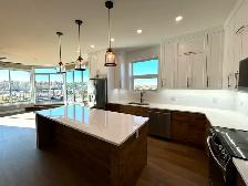 Prince Albert’s Premier 55  Penthouse Suite 705 - Photo 2