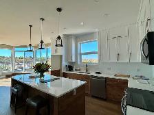 Prince Albert’s Premier 55  Penthouse Suite 705 - Photo 6