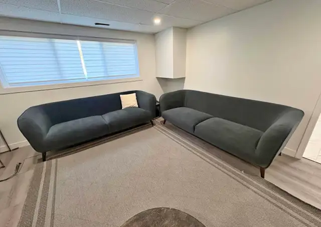 Modern Dark Grey Velvet Sofas