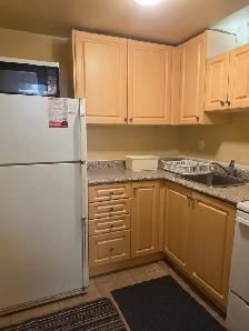 BASEMENT FOR RENT $1400 Utilities Included!! MARKHAM/STEELS - Photo 5