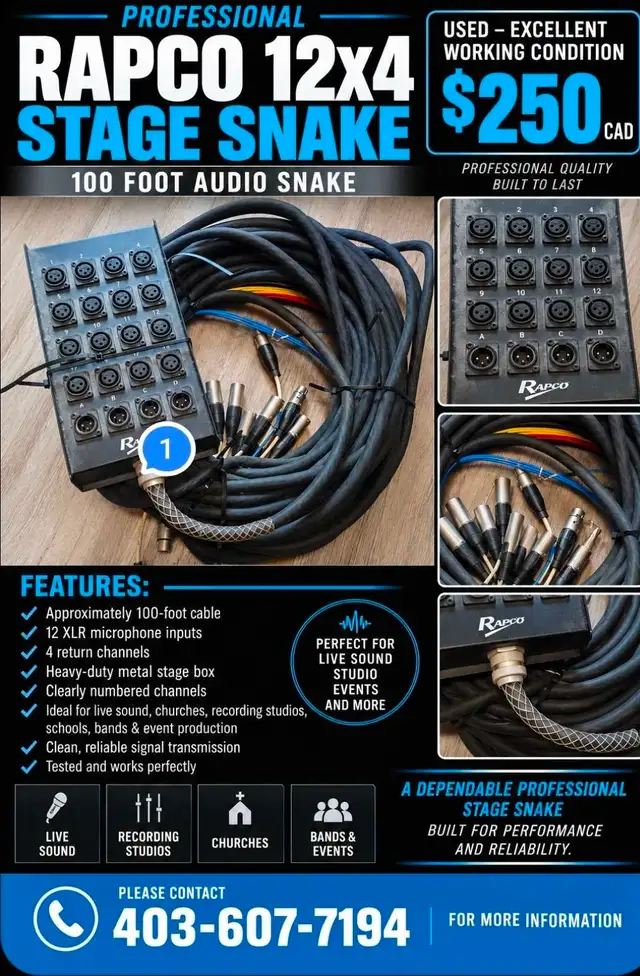 RAPCO 12x4 PROFESSIONAL STAGE SNAKE, 100 FT