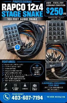 RAPCO 12x4 PROFESSIONAL STAGE SNAKE, 100 FT