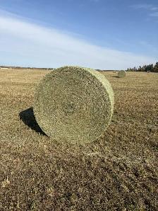 Second Cut Hay Bales