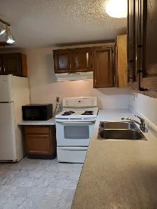2 Bedroom basement for rent - Photo 3