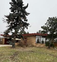 #4994- 4 Bedroom Home for Rent in Avondale. $1800. Avail Nov 1st