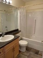 Beautiful 3 Bedroom Condo in Nutana For Rent - Broadway - Photo 19