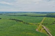 2,097 Acres | Rose Prairie Farmland | Northern BC - Photo 2