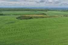 2,097 Acres | Rose Prairie Farmland | Northern BC - Photo 4