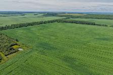2,097 Acres | Rose Prairie Farmland | Northern BC - Photo 5