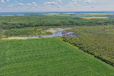 2,097 Acres | Rose Prairie Farmland | Northern BC - Photo 6